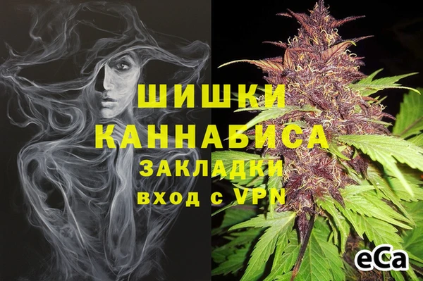 apvp Богданович