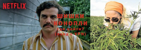 мдпв Богородицк