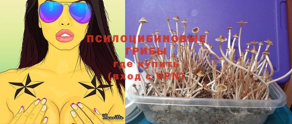 соль ск Белокуриха