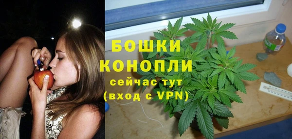 мдпв Богородицк