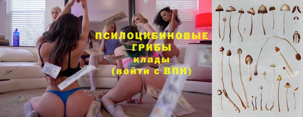 стаф Богородск