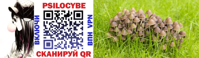 Псилоцибиновые грибы Psilocybe  shop официальный сайт  Городец 